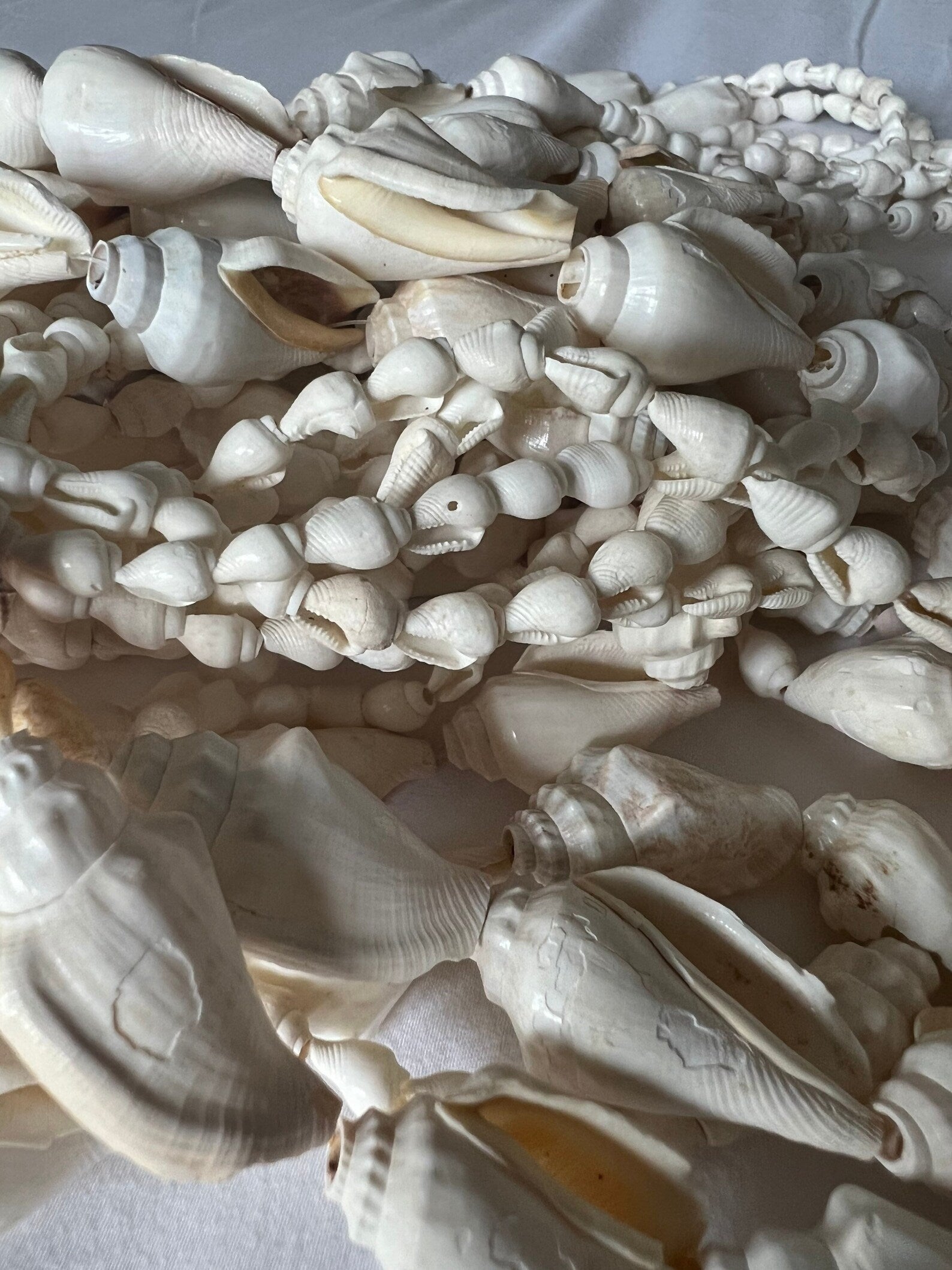 Ivory Shell Curtain Strands