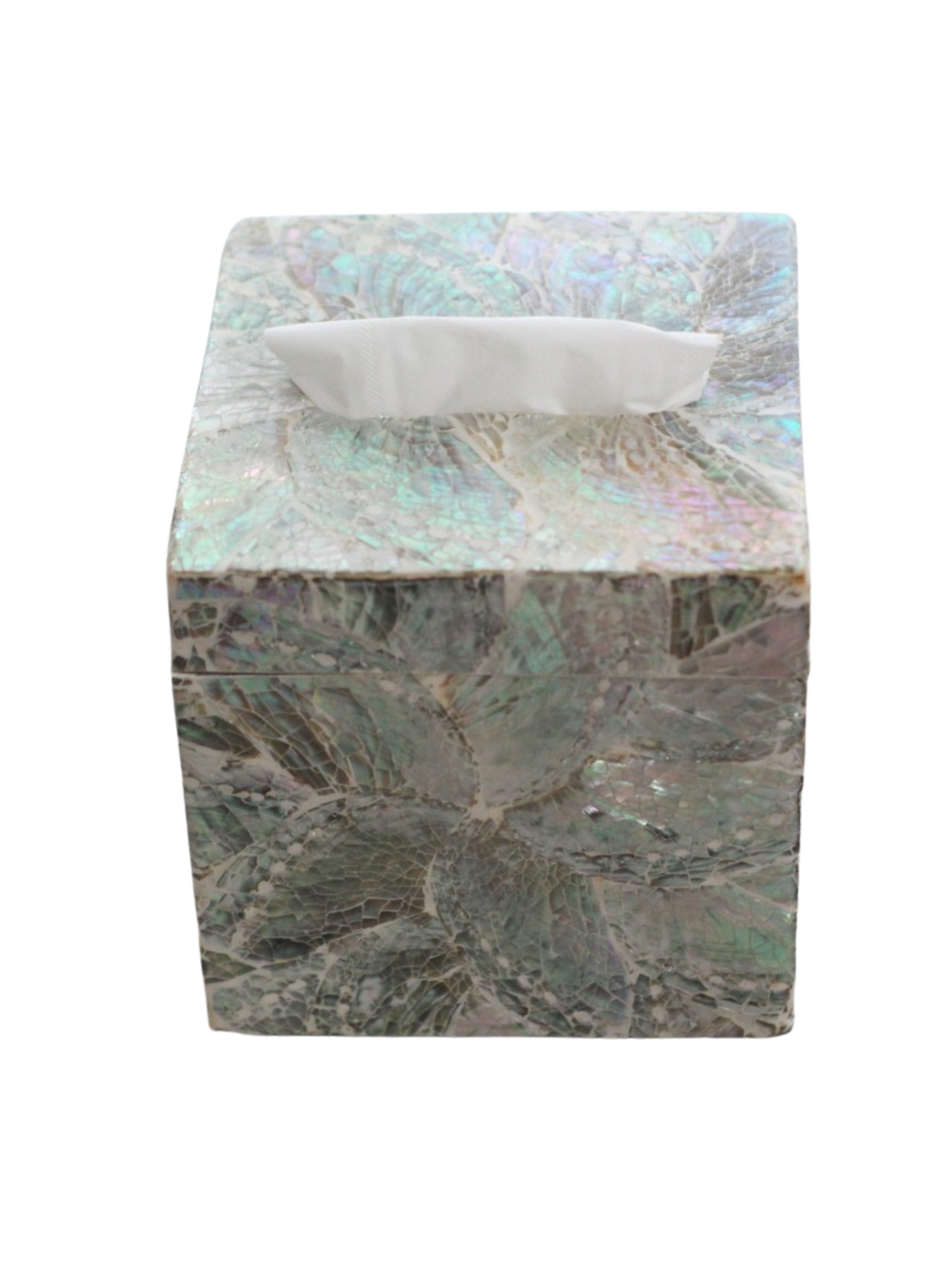 Abalone Shell Tissue Box